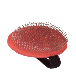 BROSSE OVALE TERRIER A...