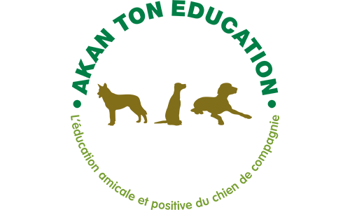 Education canine, Akan Ton Education, à Beaucouzé