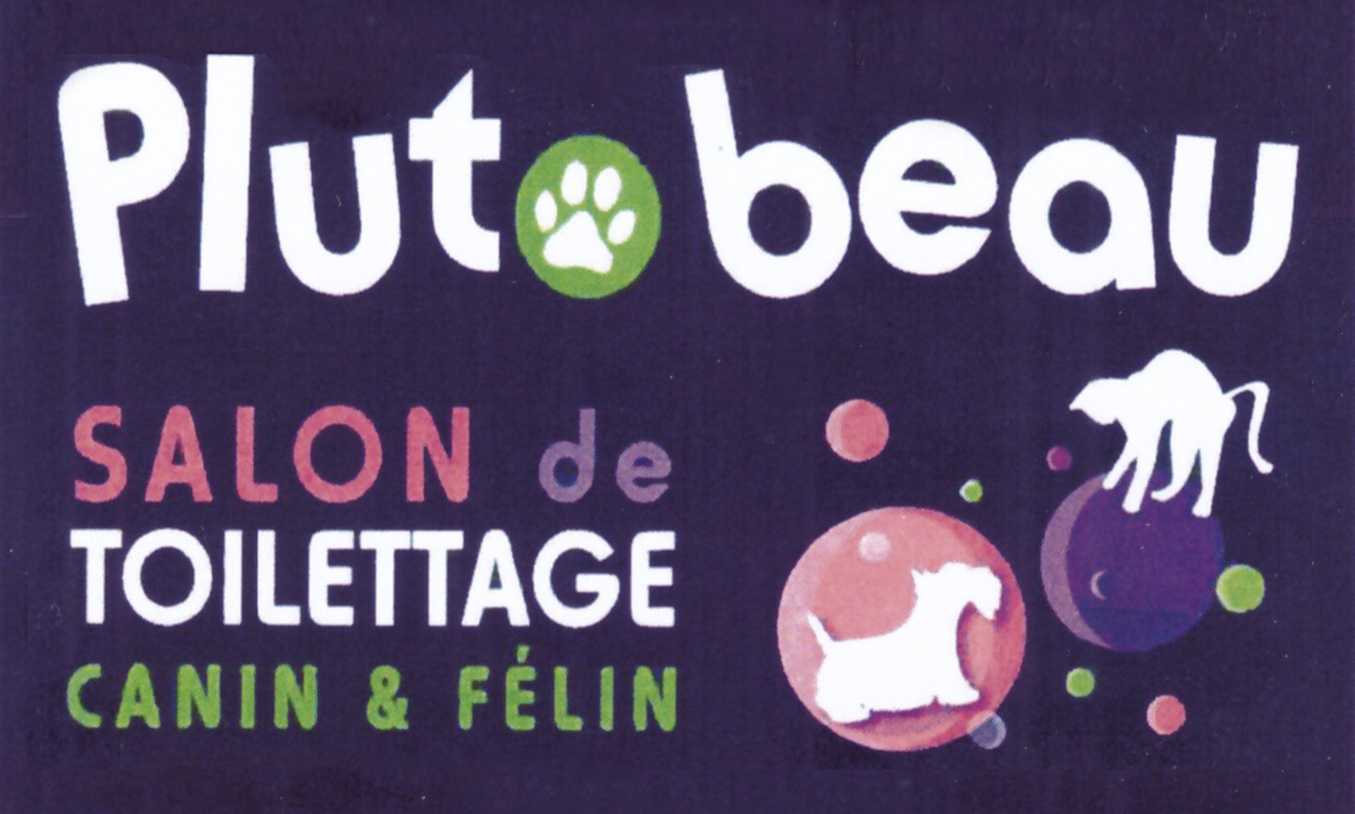 Logo salon de toilettage Pluto Beau à La Riche