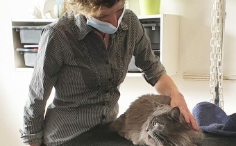 Christelle VAN GEERTSOM toiletteuse chez Pluto Beau à La Riche Christelle VAN GEERTSOM toiletteuse chez Pluto Beau à La Riche