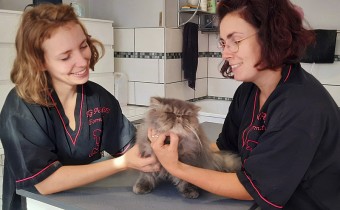 Anaïs GOURBAULT (à droite) toiletteuse et formatrice chez Canicoif’ à Poitiers