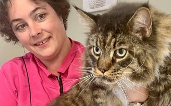 Estelle BEAUGRAND toiletteuse chez Élégance Canine à Feytiat Estelle BEAUGRAND toiletteuse chez Élégance Canine à Feytiat